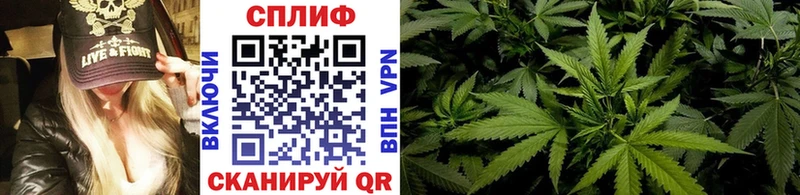 Конопля план  купить наркотики сайты  Дрезна 